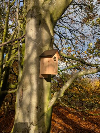 Traditional Bird Box with Coloured Roof