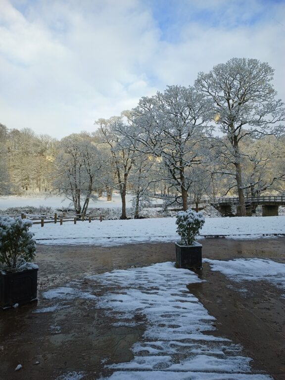 Winter Wonderland